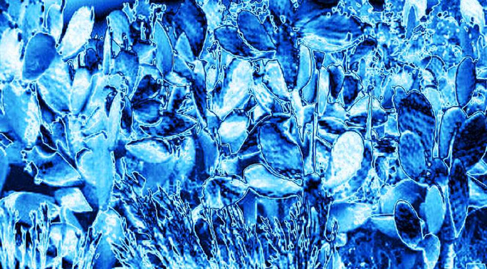 Artificial Nature Volume V