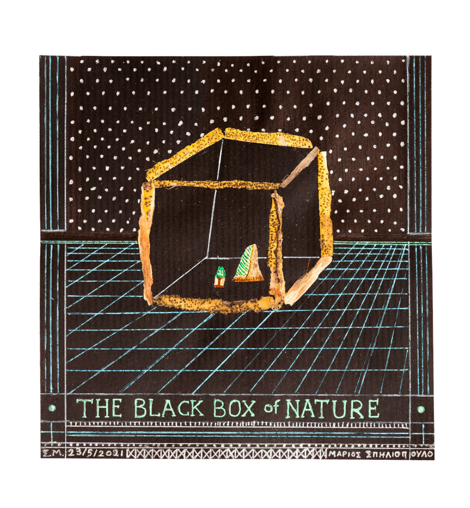 The black box of nature, mixed media, 33 x 33 cm