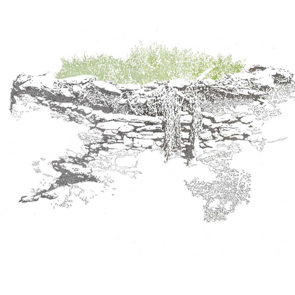 Nikos Papadopoulos, Untitled, pencil and ink on paper, 40 x 40 cm, 2011, (Courtesy: AD Gallery)