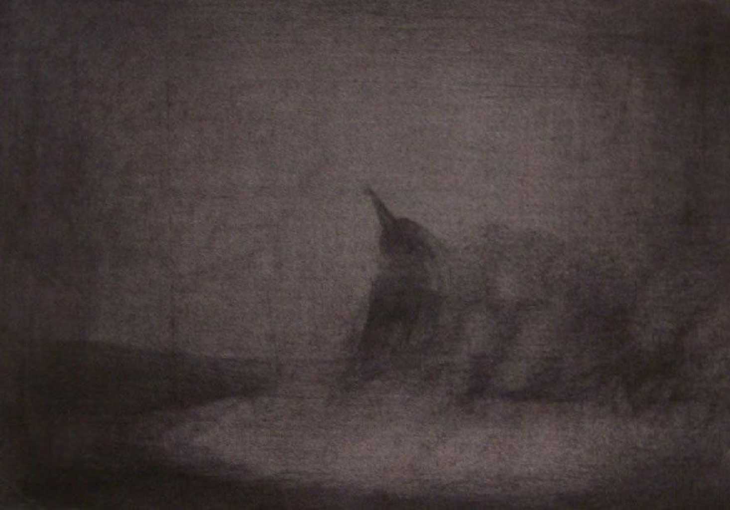 Maria Polyzoidou, Untitled, charcoal on paper, 29 x 21 cm, 2010, (Courtesy: AD Gallery)