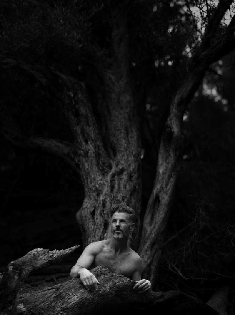 In the depth of the tree, Vratko Barcik, 60 x 75