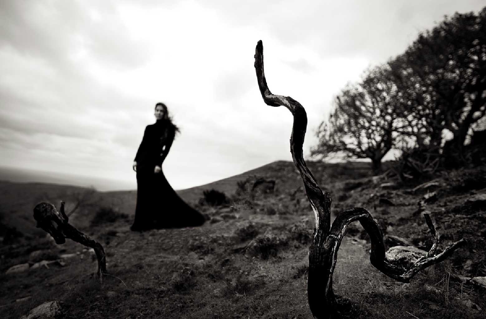 Both within the same land, Ricardo Castro, 120 x 80