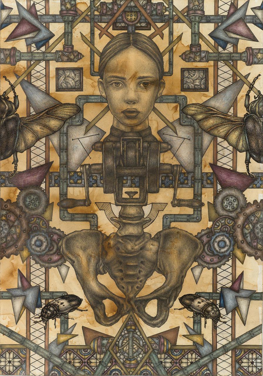 Queen of Blades, 35 cm x 50 cm, pencil, color pencils, ink on paper, 2018