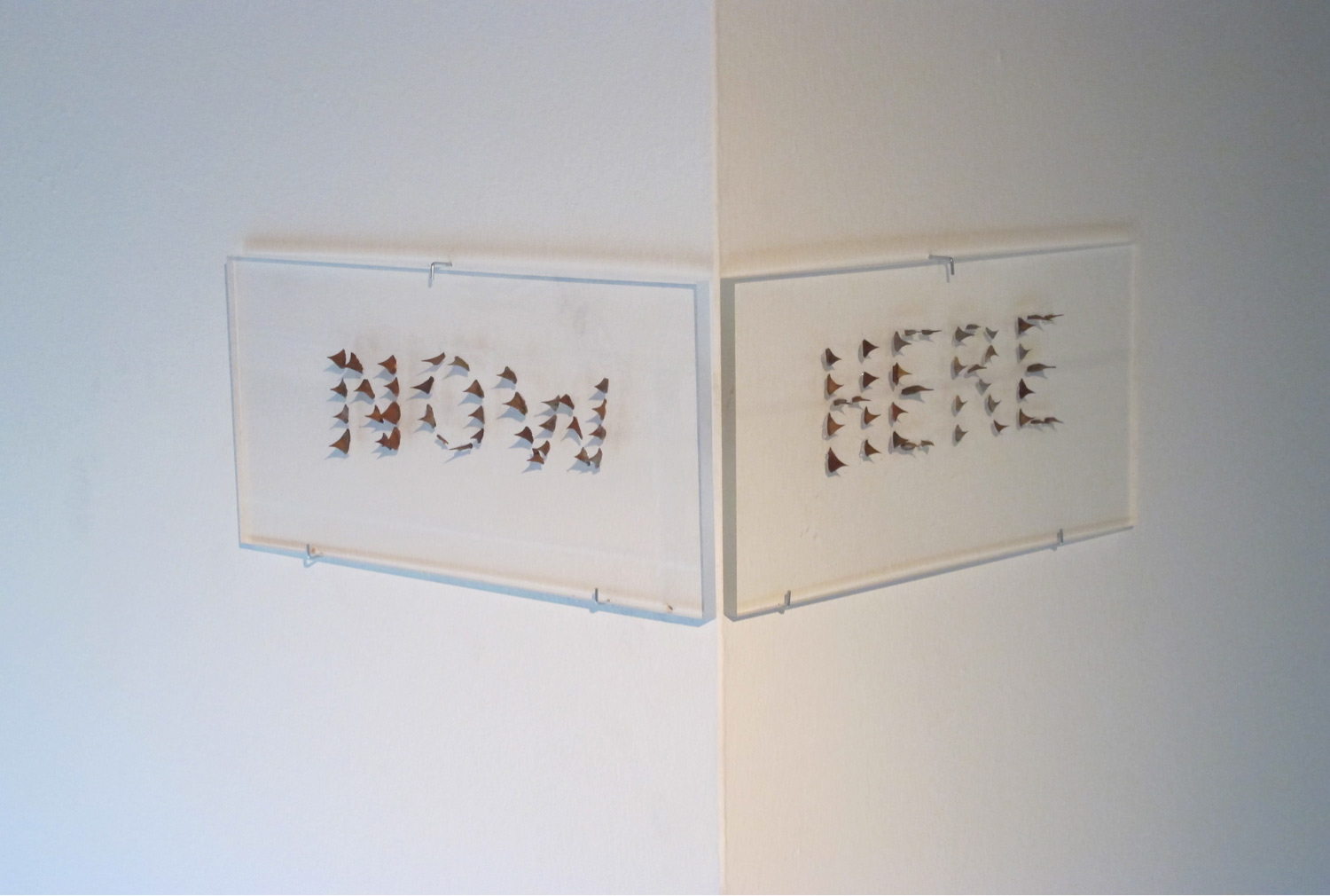Andreas Voussouras, Plexiglas and rose thorns, Each panel 20,5x40 cm, 2012