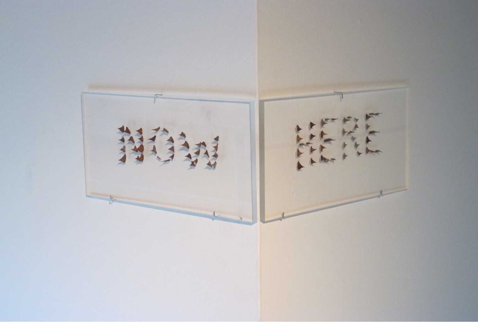 Andreas Voussouras, Plexiglas and rose thorns, Each panel 20,5x40 cm, 2012