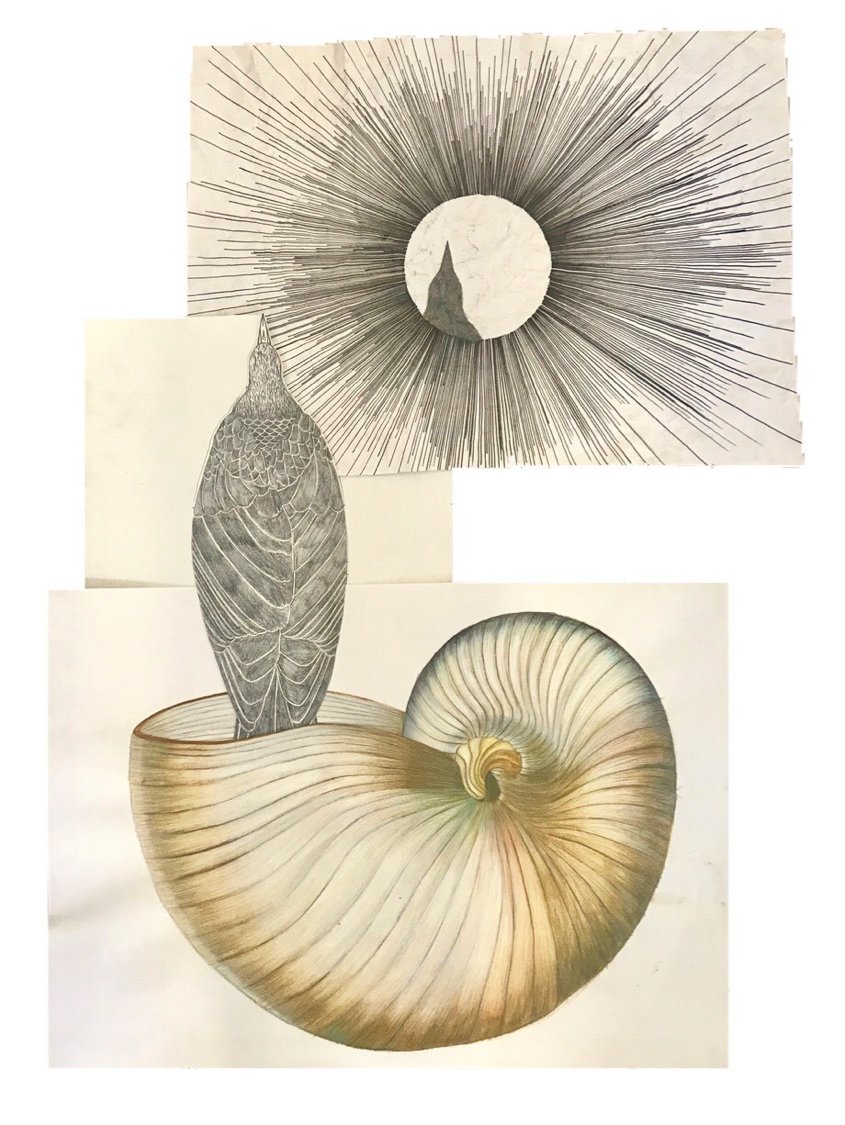 Alexia Marouli, The Solitude of Raven, Rapidograph pen, pencil and colour pencils on paper, 42x62 cm. (size varies), 2020