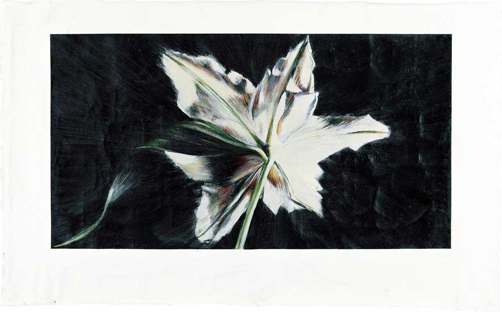 Star, acrylics on canvas, 119 x 192 cm, 2004