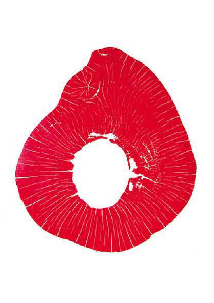 Maro Theodorou, Section, Woodcut on paper, 115 x 145 cm, 2012 Artist's Statement + Bio