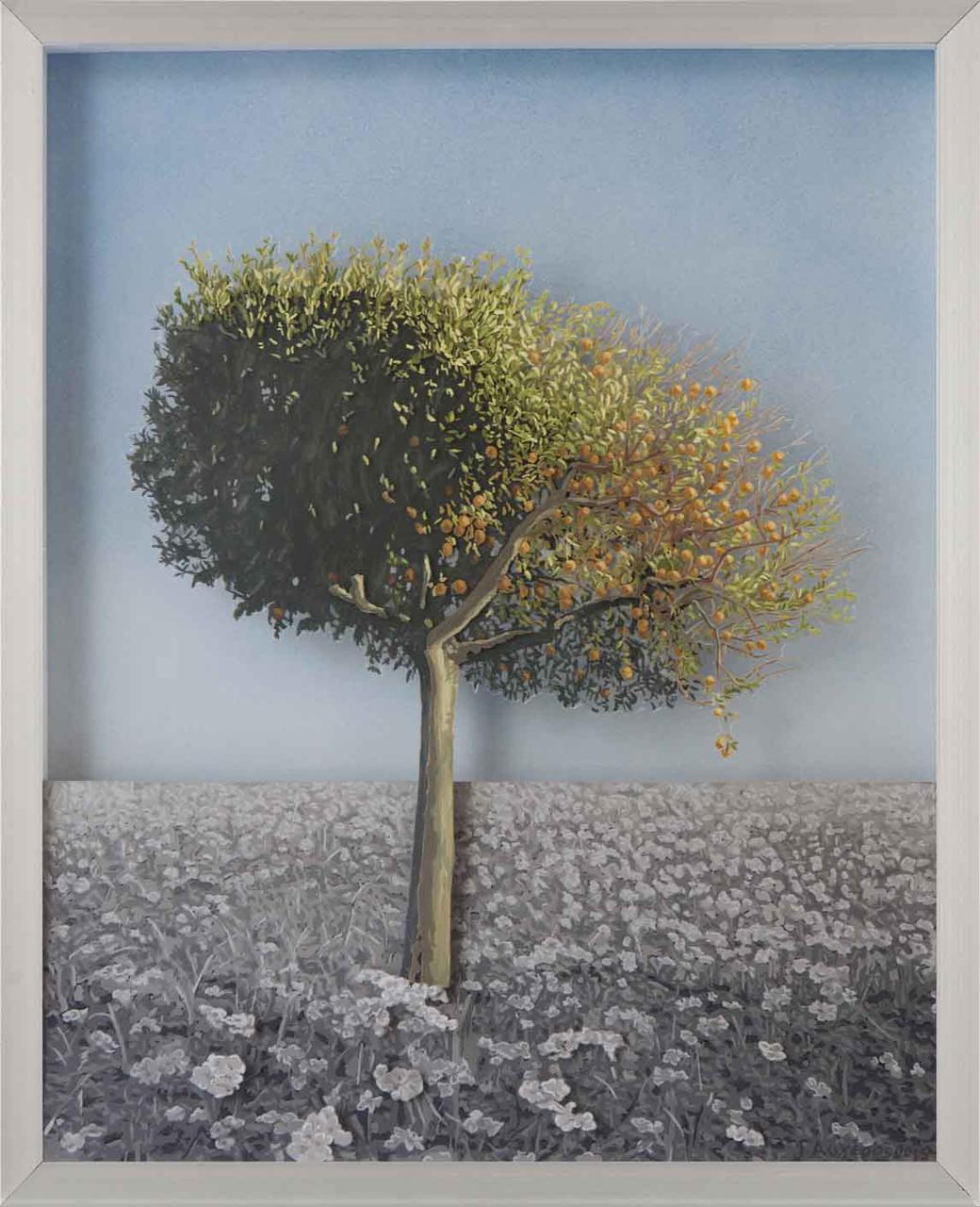 Fruit Tree, oil on transparent film, 46 x 56 cm, 2015
