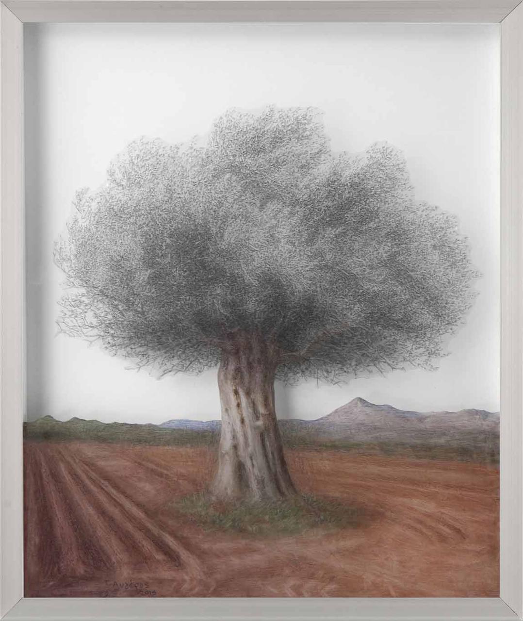 Olive Tree 1, plexiglass dust and charcoal on transparent film, 47 x  57 cm, 2015