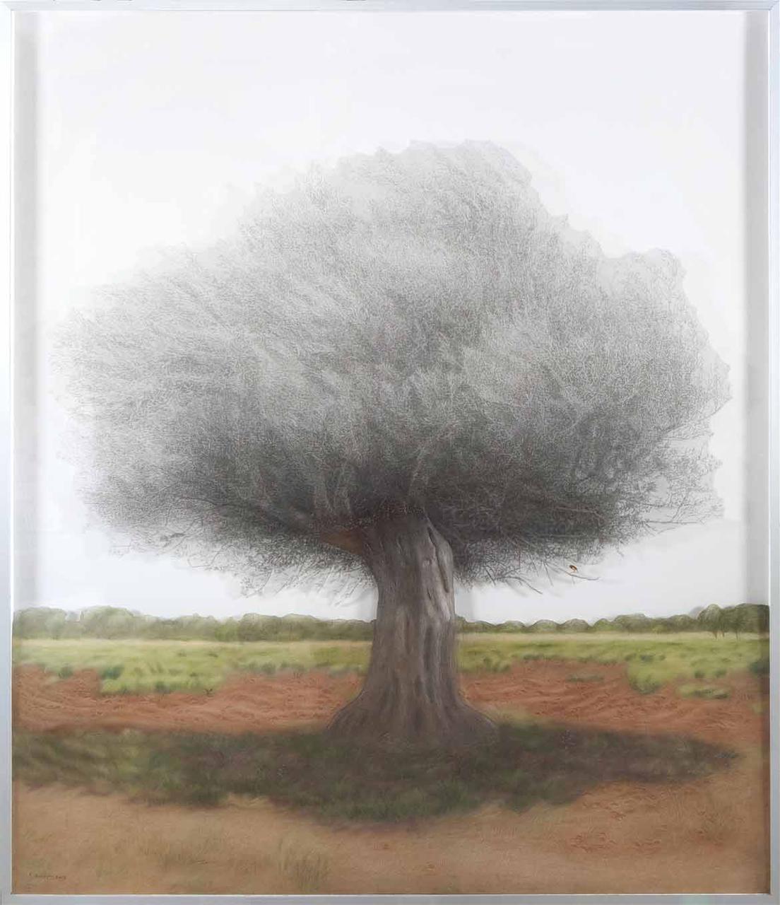 Olive Tree2, plexiglass dust and charcoal on transparent film, 169 x 200 cm, 2015