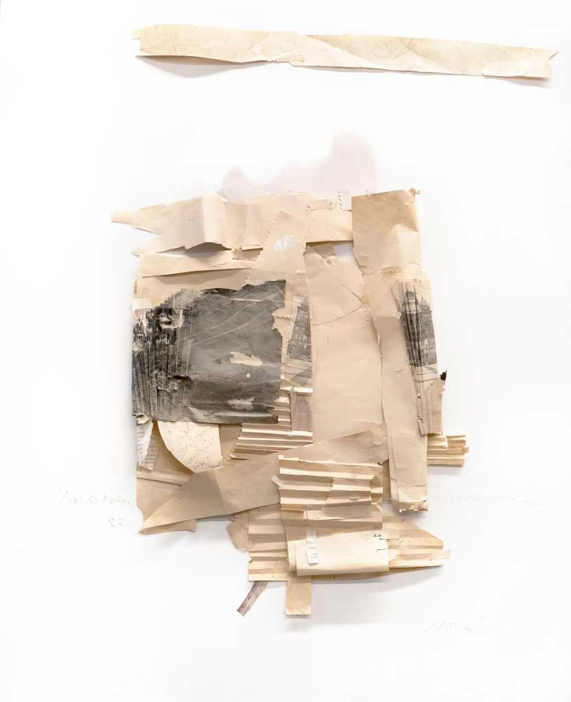 unremembering memory 2, Acrylics, collage, photograph on paper, 80 x 65 cm