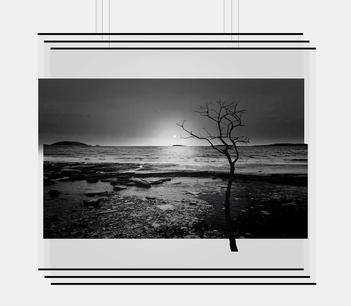 Sun Prints 2021 Tuesday in Black - 95cm
