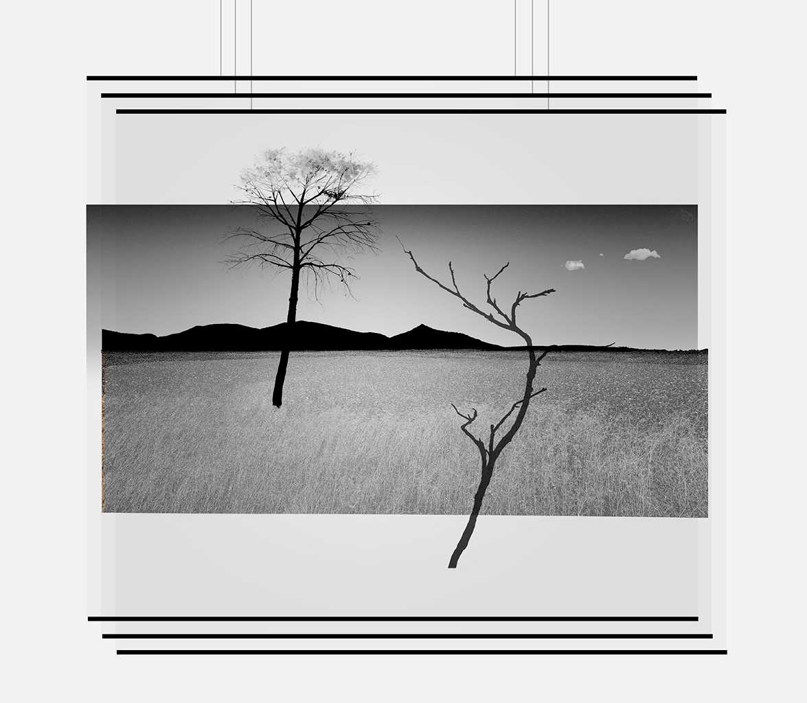 The field, photographic prints, 105 x 95 cm, 2022